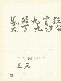 凤归九霄狂妃逆天下 九汐公子