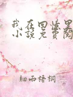 我在回忆里等你小说免费阅读