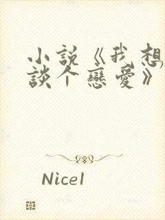 小说《我想和你谈个恋爱》