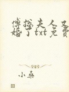 傅总夫人又闹离婚了txt免费下载