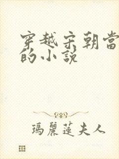 穿越宋朝当皇帝的小说