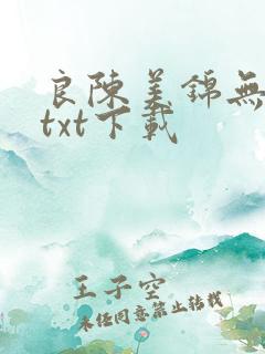 良陈美锦无删减txt下载