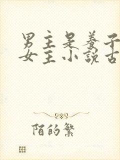 男主是养子爱上女主小说古言