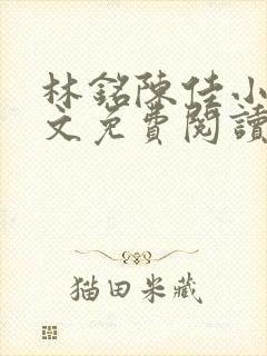 林铭陈佳小说全文免费阅读(笔趣tv)