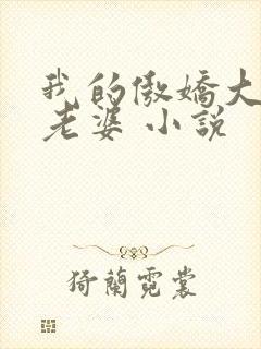 我的傲娇大小姐老婆 小说