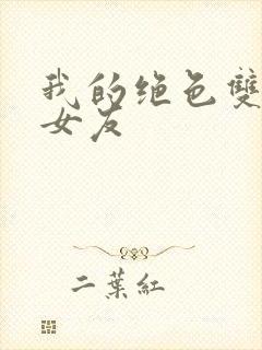 我的绝色双胞胎女友