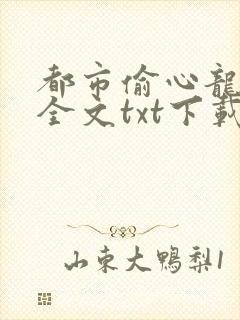 都市偷心龙爪手全文txt下载