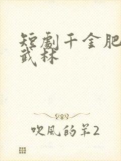 短剧千金肥妻撼武林