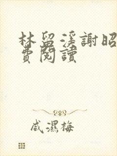 林留溪谢昭年免费阅读