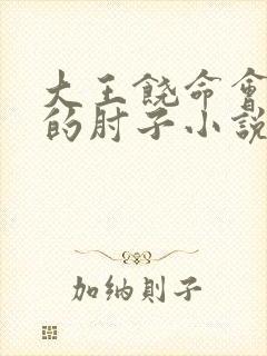 大王饶命会说话的肘子小说在线看