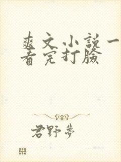 爽文小说一口气看完打脸