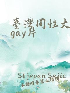 台湾同性大尺度gay片