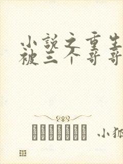 小说之重生后我被三个哥哥追着宠