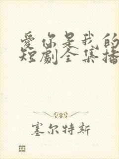 爱你是我的秘密短剧全集播放