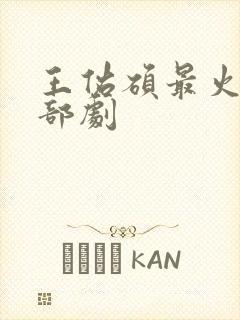 王佑硕最火的5部剧