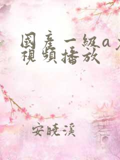 国产一级a免费视频播放