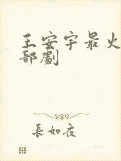 王安宇最火的三部剧