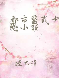 都市医武少狂叶飞小说