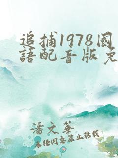 追捕1978国语配音版免费观看