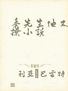 秦先生他又宠又撩小说