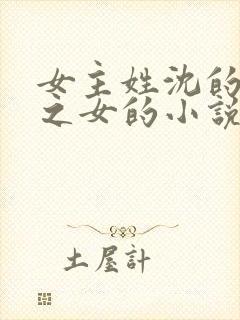 女主姓沈的丞相之女的小说