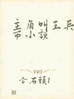 主角叫王兵的都市小说