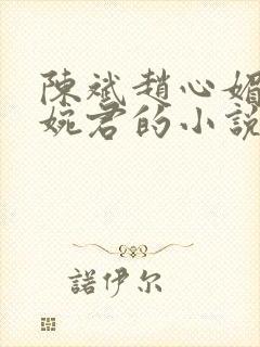 陈斌赵心媚和高婉君的小说