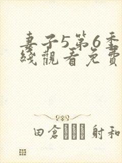 妻子5第6季在线观看免费