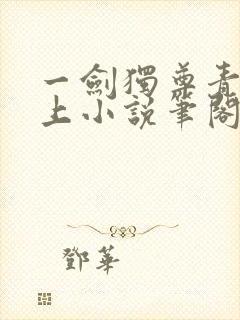 一剑独尊青鸾峰上小说笔阁趣
