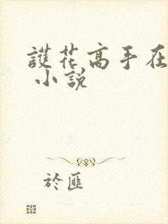 护花高手在都市 小说