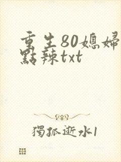 重生80媳妇有点辣txt