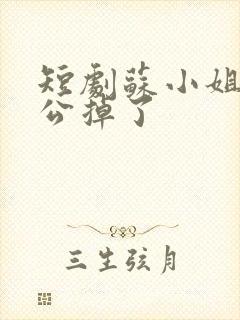 短剧苏小姐你老公掉了