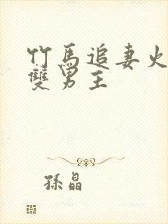 竹马追妻火葬场双男主