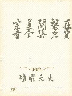 完美关系在线观看全集免费播放