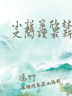 小说宁欣林峰全文阅读最新章节