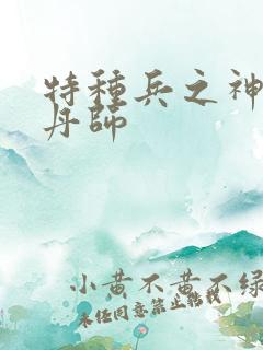 特种兵之神级炼丹师