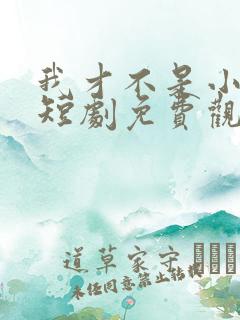 我才不是小可怜短剧免费观看