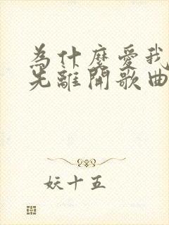 为什么爱我的人先离开歌曲