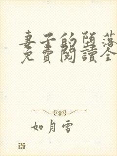 妻子的堕落小说免费阅读全文