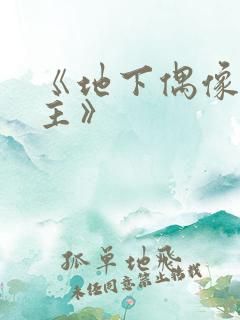 《地下偶像双男主》