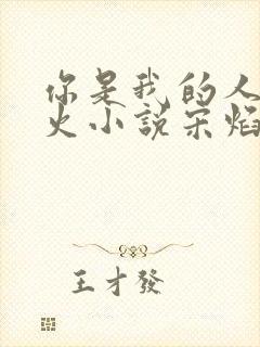 你是我的人间烟火小说宋焰