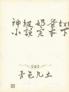 神级奶爸txt小说完本下载