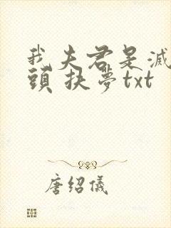 我夫君是灭世魔头 扶梦txt