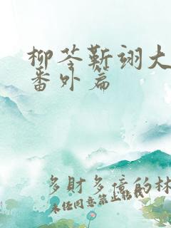 柳芩靳翊大结局番外篇