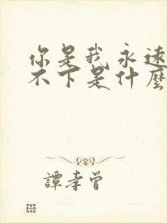 你是我永远的放不下是什么歌