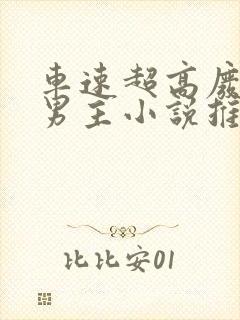 车速超高废文的男主小说推荐