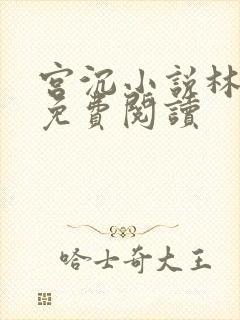 宫沉小说林知意免费阅读