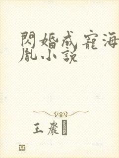 闪婚成宠海彤战胤小说