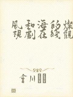 风和海的灿烂电视剧在线观看