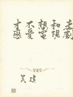 才不想和老板谈恋爱电视剧免费